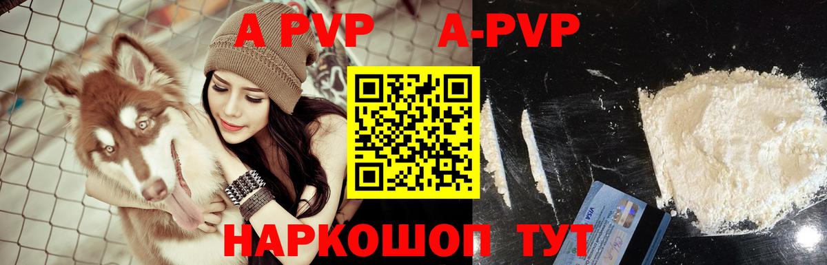 A PVP СК  Вход с VPN  сколько стоит  Бор 