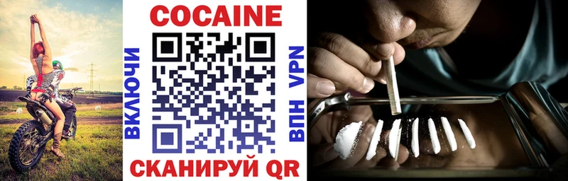 купить наркотики цена  Бор  COCAIN FishScale 