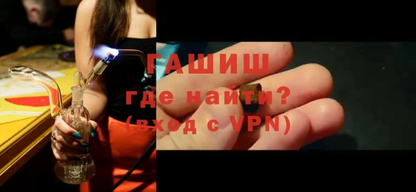 индика Долгопрудный