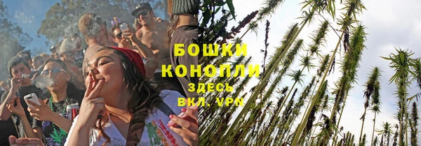 2c-b Богородицк