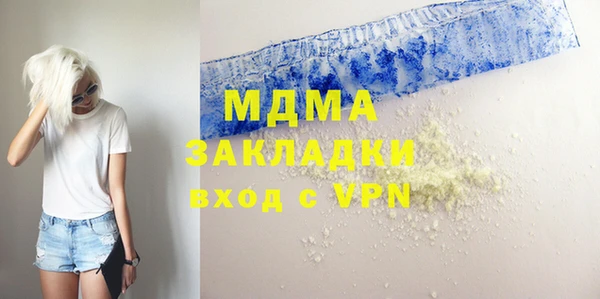 индика Долгопрудный
