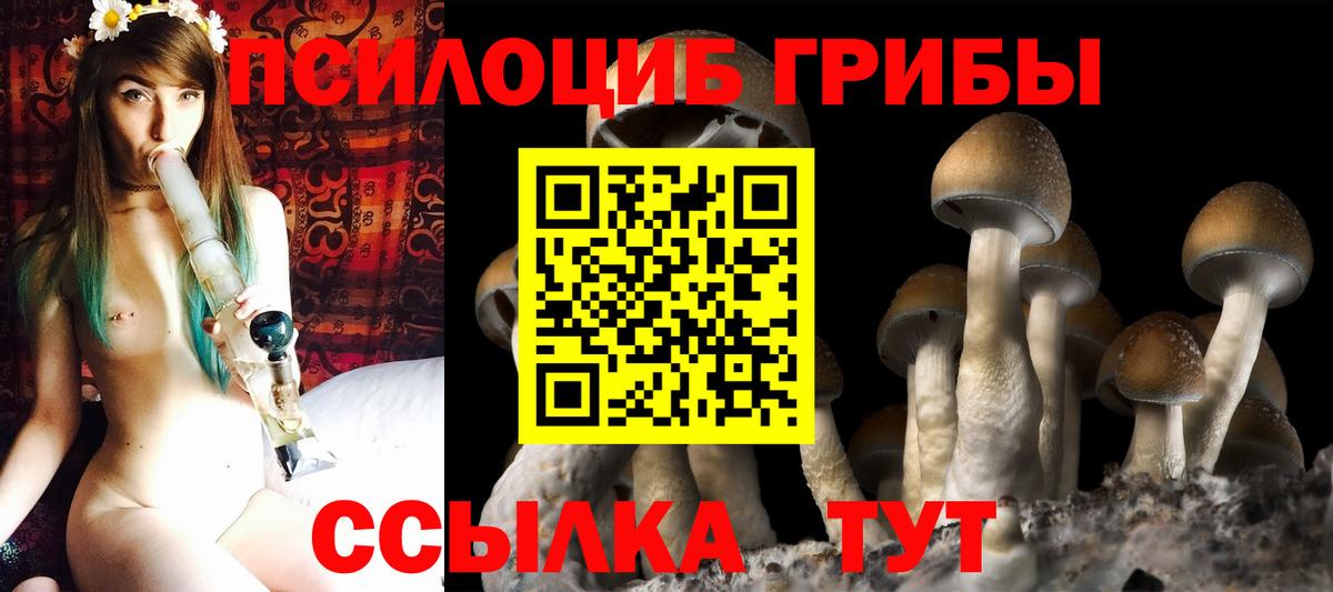 Бор  Псилоцибиновые грибы мухоморы  Галлюциногенные грибы MAGIC MUSHROOMS  Вход с VPN 