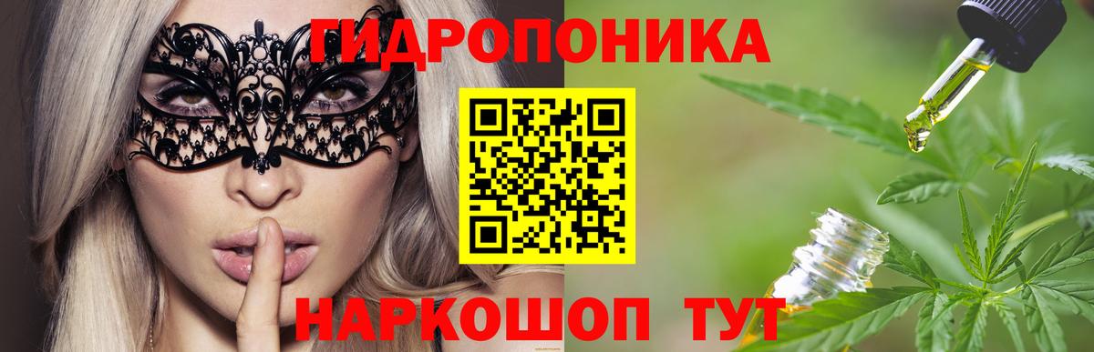 Канабис гибрид Бор